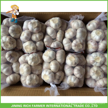 Processing 2016 Crop Garlic 5.0cm